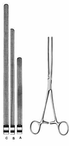 Intestines & Stomach