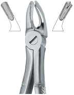 Tooth Extracting Forceps|(eng)