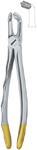 Tooth Ext Forceps