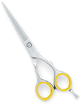 Barber Hair Cutting Scissors 