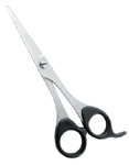 Dressing Scissors 